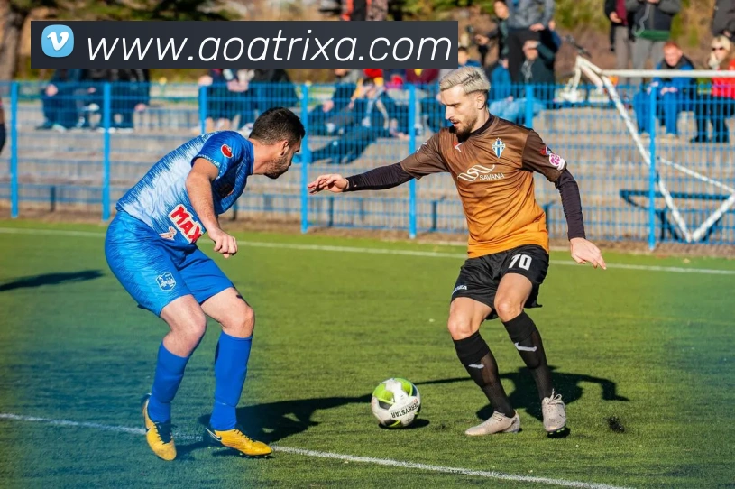 AOA体育平台生态图